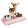 Stainless Steel Elevated Cat Bowls with Stand for Indoor Cats and Small Dogs