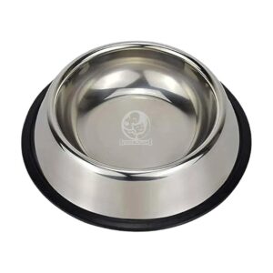 Stainless Steel Food Bowl for Small to Medium Dogs with Anti-Skid Base