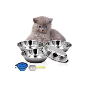 Stainless Steel Pet Food Bowls for Cats and Small Dogs with Collapsible Design