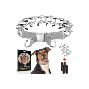 Stainless Steel Prong Collar for Dogs - Ideal for Professional Dog Trainers