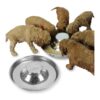 Stainless Steel Puppy Dog Bowls 2-Pack for Feeding Food and Water