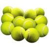 Standard Size Pet Grade Tennis Balls for Small Dogs and Cats