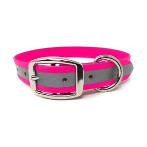 Standardized Reflective Dog Collar with Anti-Chew Resistant Material for Canines