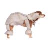 Star Wars At-At Pet Medium Costume for Homeowners of Small Dogs