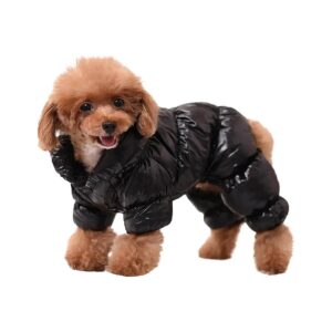 Stay Warm and Dry with Waterproof Dog Jacket for Small Dogs, Great for Daily Wear