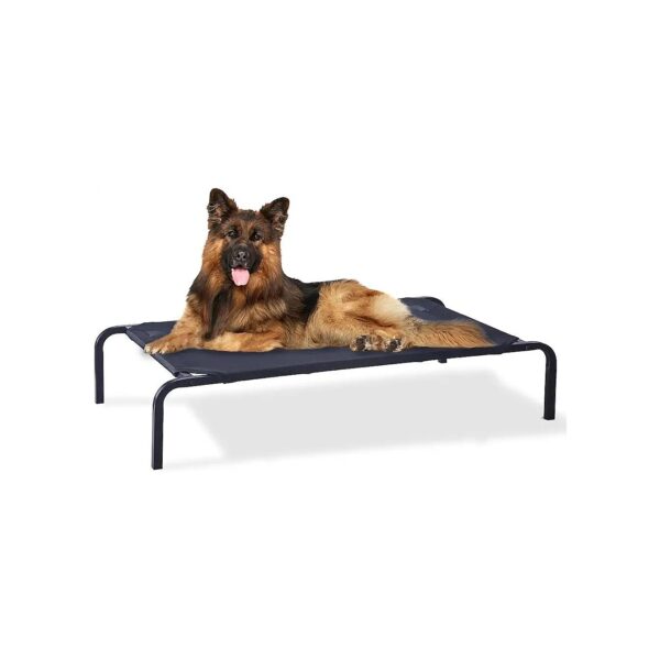 Steel-Framed Elevated Dog Bed with Breathable Mesh for Large and Small Pets