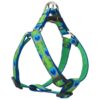 Step In Harness for Medium Dogs with 3/4-Inch Wide Straps and Multicolor Tail Feathers