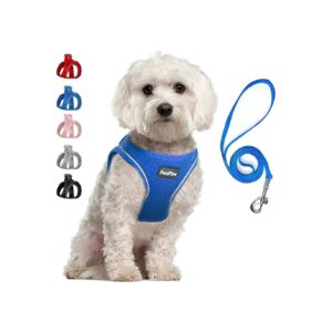 Step In Small Dog Vest Harness with Reflective Escape Proof and Durable Materials