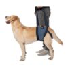 Step Support Dog Harness for Dogs with Weak Hind Legs after Knee Surgery Operations