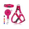 Step in Dog Harness and Leash Set for Small Medium Large Dogs