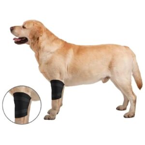 Sterile Large Dog Elbow Wrap for Injury Prevention and Support