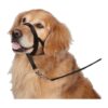 Stop Pulling and Choking Walks with No Pull Dog Collar and Leadership Training Guide