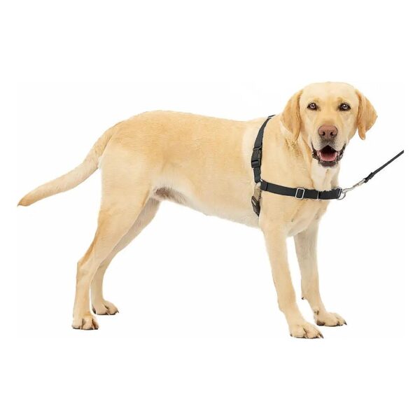 Stop Pulling on Leash with Easy Walk Dog Harness for Large Dogs in Black and Silver