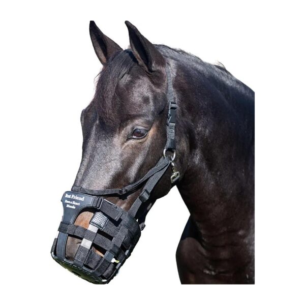 Strap Muzzle for Horses with Hard to Fit Heads