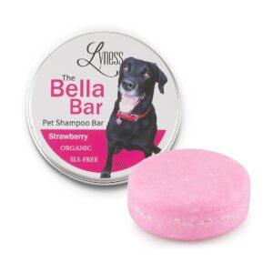 Strawberry Scented Pet Shampoo Bar with Reusable Tin Container for Dogs and Cats