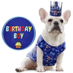 Stretchy and Breathable Dog Birthday Shirt for Comfortable Wear