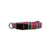 Stripe Martingale Control Collar for Active Small Dogs with 3/4 Inch Width