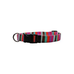 Stripe Martingale Control Collar for Active Small Dogs with 3/4 Inch Width