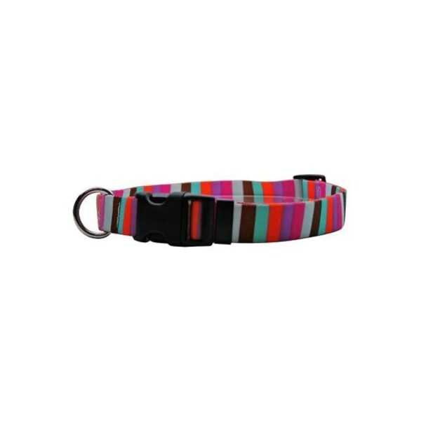 Stripe Martingale Control Collar for Active Small Dogs with 3/4 Inch Width