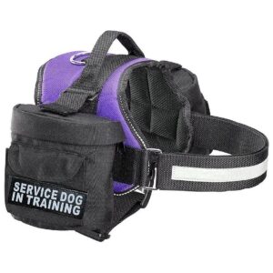 Striped Purple Dog Walking Harness with Interchangeable Saddle Bag Panels