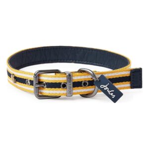 Striped Yellow and Navy Coastal Dog Collar with Large Size and Buckle Closure