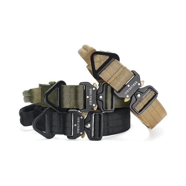 Strong Adjustable Dog Collar with Metal Buckle and Grip Handle for Large Breed Dogs