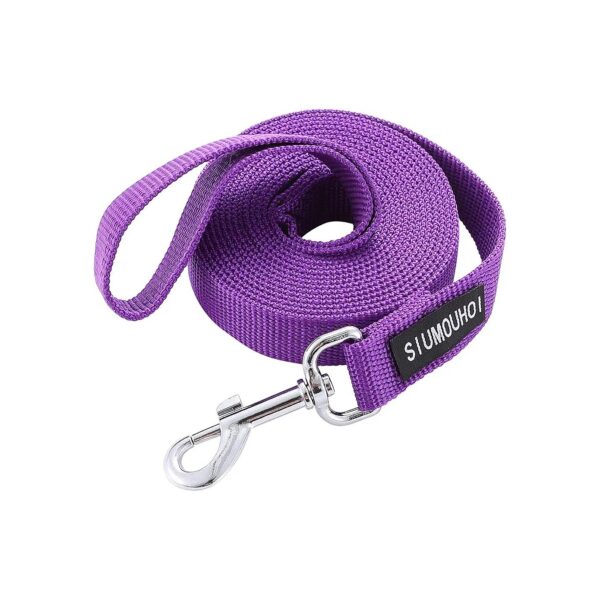 Strong Nylon Dog Leash with 1-Inch Wide Traction Rope and 10 Foot Length