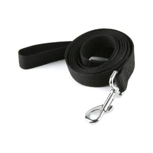 Strong Nylon Leash for Medium Large Dogs 10 Feet Long 1 Inch Wide