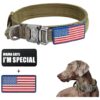 Strong and Adjustable Brown Dog Collars with Heavy Duty Metal Buckle for Large Dogs