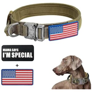 Strong and Adjustable Brown Dog Collars with Heavy Duty Metal Buckle for Large Dogs