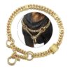 Strong and Adjustable Gold Chain Martingale Collar for Growing Dogs with 14MM Chain