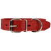 Strong and Beautiful Leather Dog Collar with Floral Pattern in Red