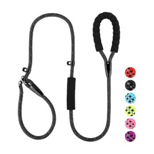 Strong and Convenient Slip Lead Dog Leash with Metal Tab and Reflective Thread