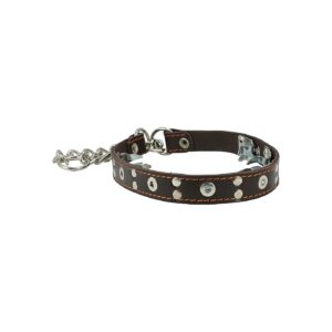 Strong and Durable Brown Leather Pinch Martingale Dog Collar with Studs