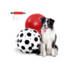 Strong and Durable Herding Ball for Small to Medium Dogs