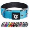 Strong and Durable Metal Buckle Dog Collar with Nylon Material, 5 inch Wide, Blue