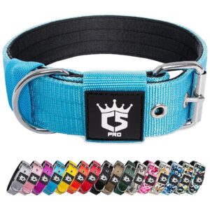 Strong and Durable Metal Buckle Dog Collar with Nylon Material, 5 inch Wide, Blue