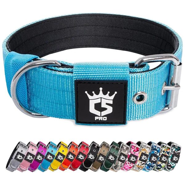 Strong and Durable Metal Buckle Dog Collar with Nylon Material, 5 inch Wide, Blue