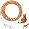 Strong and Durable Orange Dog Leash Cable for Large Dogs in Yard and Outdoor