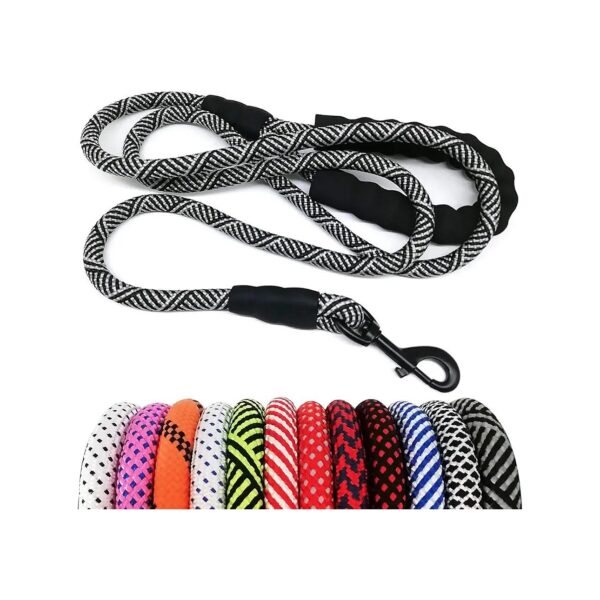 Strong and Lightweight Nylon Dog Leash for Small to Large Puppies