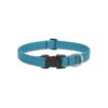 Strong, and Stylish Adjustable Collar for Large Dogs - Tropical Blue Plastic