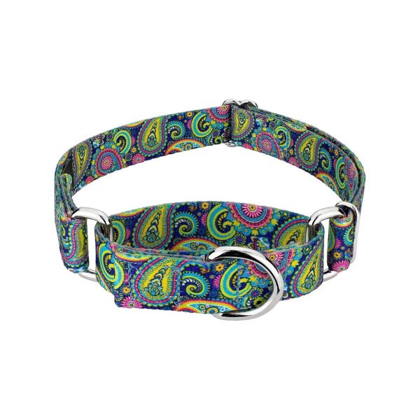 Strong and Stylish Dog Collar with Martingale Design and Paisley Pattern