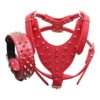 Strong and Stylish Spiked Dog Harness Collar Set for Bully Breeds like Terriers