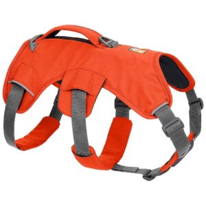 Strong and Supportive Dog Harness for Hiking and Trail Running Excursions