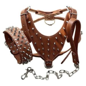 Studded Spiked Fashion Design Leather Dog Collars and Leashes for Large Size Dogs