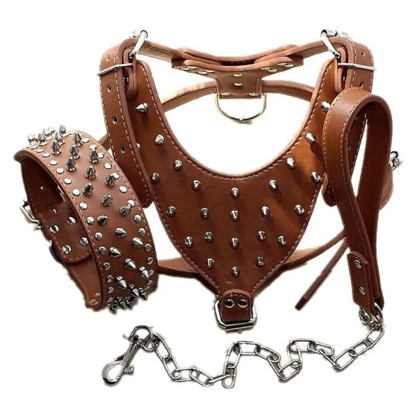 Studded Spiked Fashion Design Leather Dog Collars and Leashes for Large Size Dogs