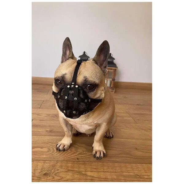 Stunning Black Leather French Bulldog Muzzle for Biting, Chewing Deterrent Size FB2