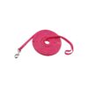 Sturdy Dog Training Leash with 10FT Length for Recall Training and Hiking