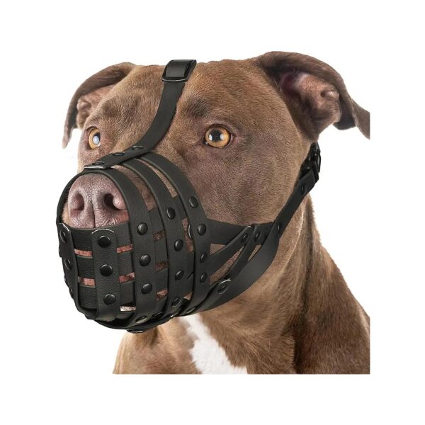 Sturdy Large Dog Basket Muzzle with Adjustable Head and Neck Straps