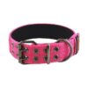 Sturdy Nylon Dog Collar with Metal Buckle and Soft Padded Lining for Medium Dogs